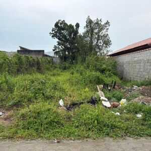 Prefeitura regulamenta regras para limpeza de terrenos e enfrentamento a focos de doenças em Mongaguá prefeitura-regulamenta-regras-para-limpeza-de-terrenos-e-combate-a-focos-de-doencas-em-mongagua