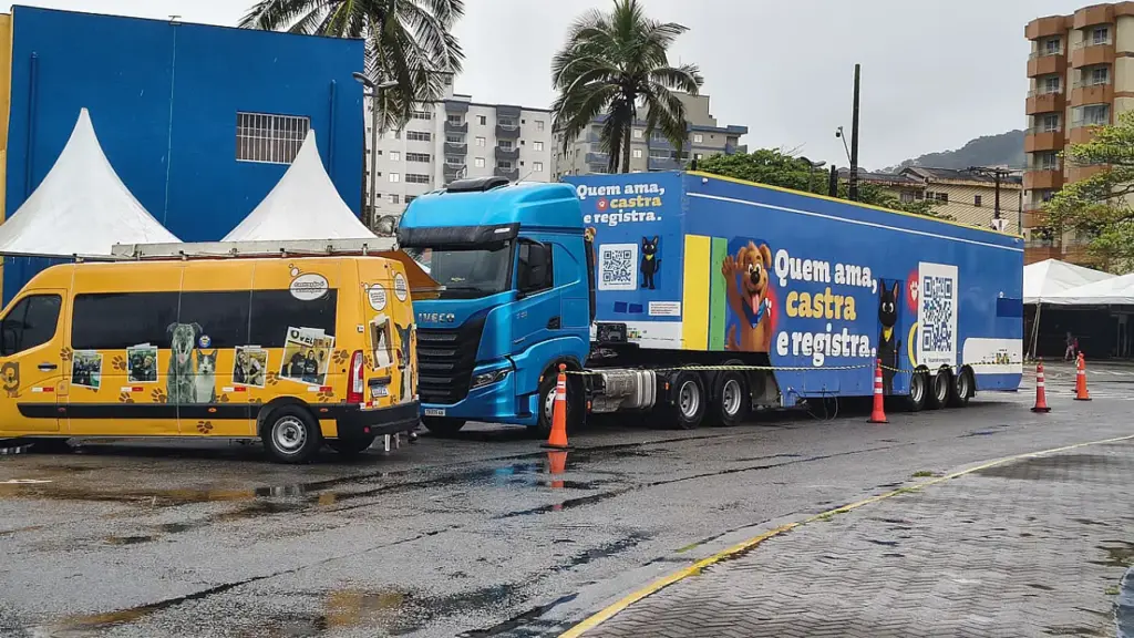 mongagua-realiza-mutirao-de-castracao-para-300-caes-e-gatos