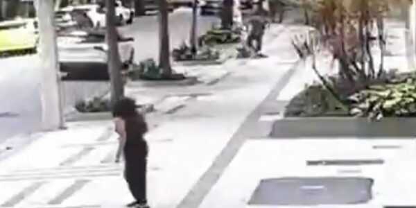 professora-aposentada-da-ufrj-e-baleada-em-assalto-na-zona-sul-do-rio